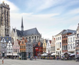 St. Rumbold's Kathedrale am Grote Markt in Mechelen